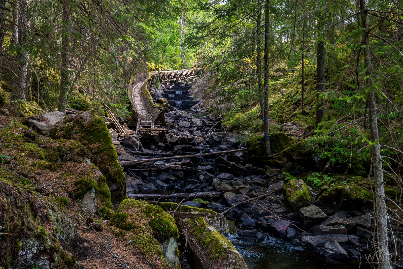 A rocky stream running through a dense forest alongside an old wooden timber floating flume.