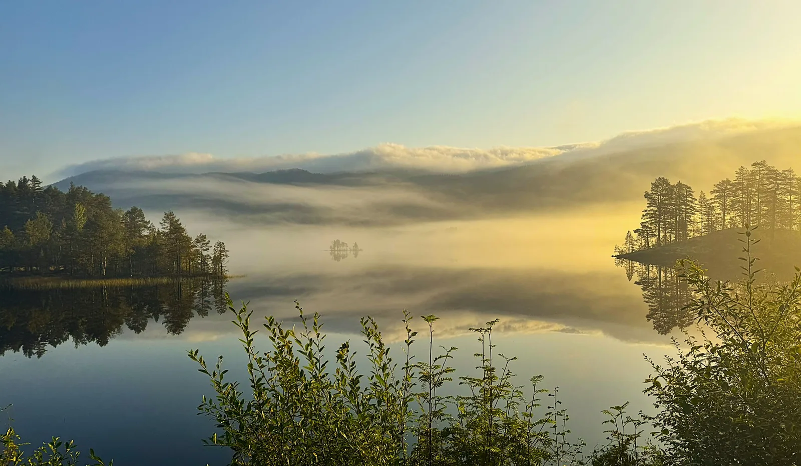 Misty Scandinavian lake at sunrise with pine trees and a perfect reflection on calm water