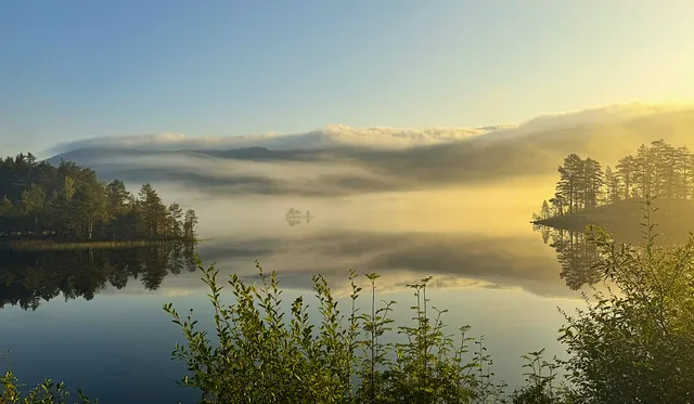 Misty Scandinavian lake at sunrise with pine trees and a perfect reflection on calm water